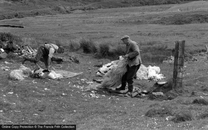 Photo of Skye, Sheep Shearing 1961