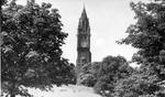 Previous photo