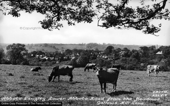 Photo of Abbots Langley, From The Meadows c.1955