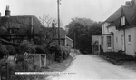 Previous photo