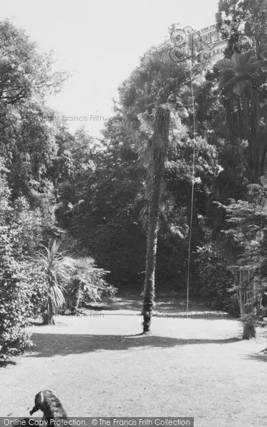Photo of Abbotsbury, Subtropical Gardens c.1965