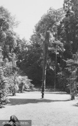 Subtropical Gardens c.1965, Abbotsbury