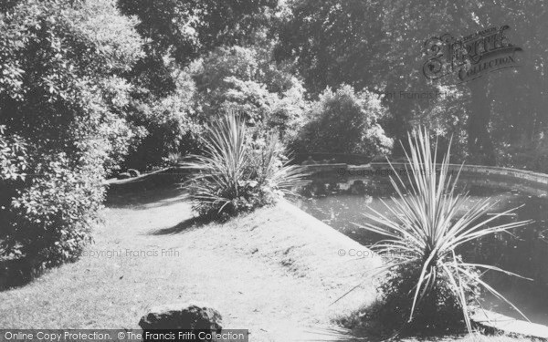 Photo of Abbotsbury, Subtropical Gardens c.1965