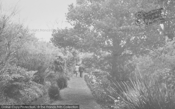 Photo of Abbotsbury, Swannery Grounds c.1950