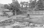 Previous photo