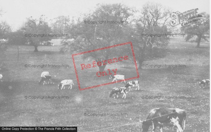 Photo of Aberdare, Hospital Grounds c.1955