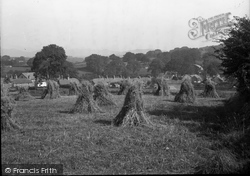 A Harvest Field 1936, Abererch