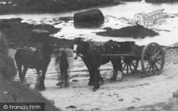Horses, Porthcwyfan Beach  c.1939, Aberffraw