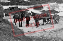 Working Horses On The Beach c.1939, Aberffraw