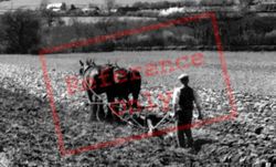A Horsedrawn Plough c.1955, Abergavenny