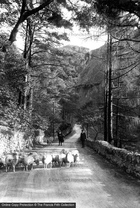 Photo of Aberglaslyn Pass, Sheep 1913