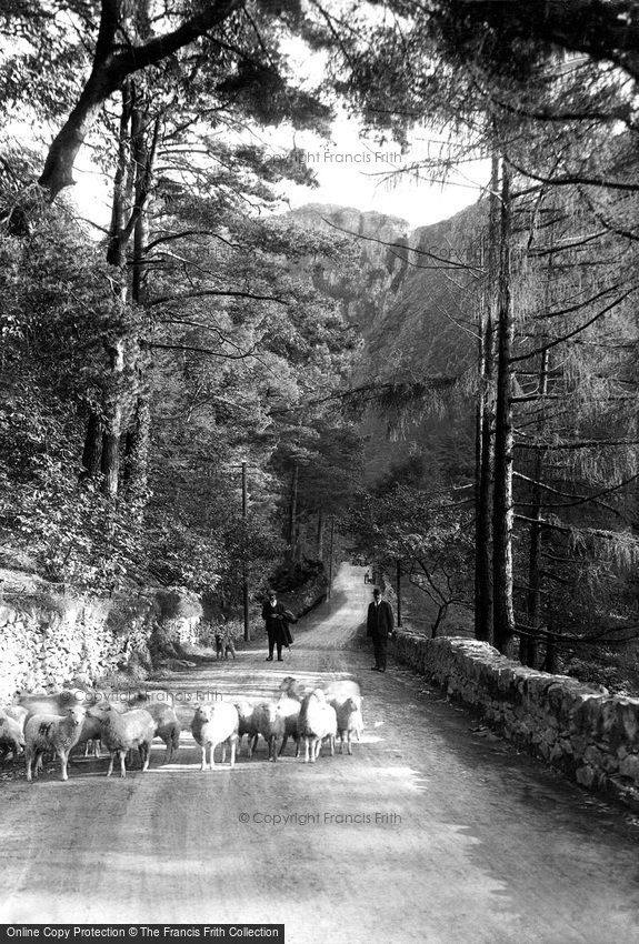 Aberglaslyn Pass, Sheep 1913