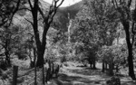 Previous photo