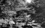 Previous photo