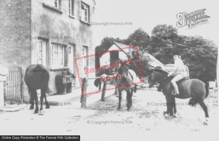 Photo of Aberporth, Helyg Fach Farm, Ponies c.1960
