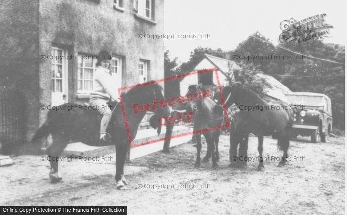Photo of Aberporth, Ponies At Helyg Fach Farm c.1960