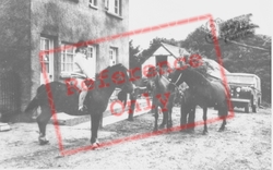Ponies At Helyg Fach Farm c.1960, Aberporth