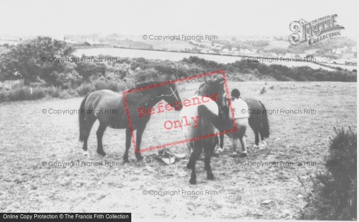 Photo of Aberporth, Pony Riding c.1960