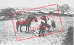 Pony Riding c.1960, Aberporth