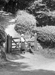 Couple In Cwm Woods 1921, Aberystwyth