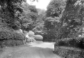 Cwm Woods 1921, Aberystwyth