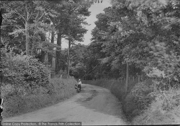 Photo of Aberystwyth, Cwm Woods 1921