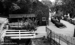 Abingdon, Tea Gardens c.1960, Abingdon-on-Thames
