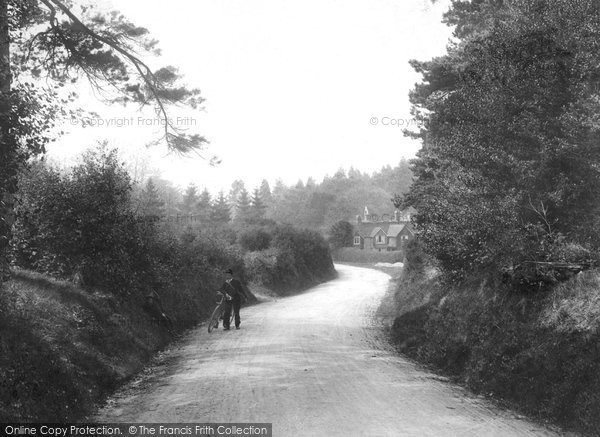 Photo of Abinger Common, 1906