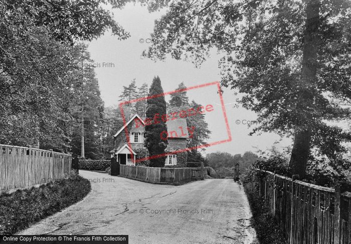 Photo of Abinger Common, Parkwood 1924