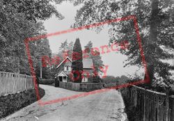 Parkwood 1924, Abinger Common