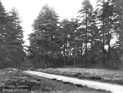 Road To Friday Street 1921, Abinger Common