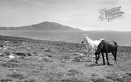 On The Atlantic Drive c.1950, Achill Island