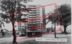 The Coppice c.1965, Acock's Green