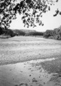 Previous photo