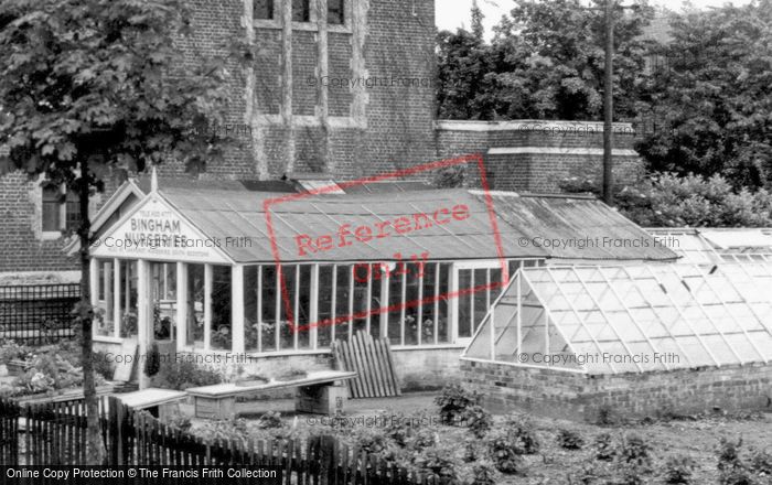Photo of Addiscombe, Bingham Nurseries c.1965