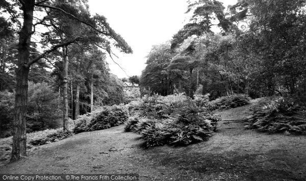 Photo of Addiscombe, Coombe Woods c1965