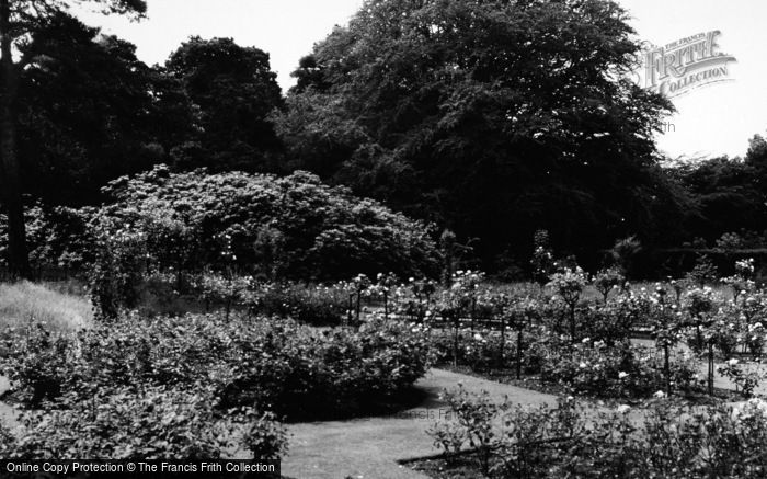 Photo of Addiscombe, Rose Garden, Coombe Woods c.1965