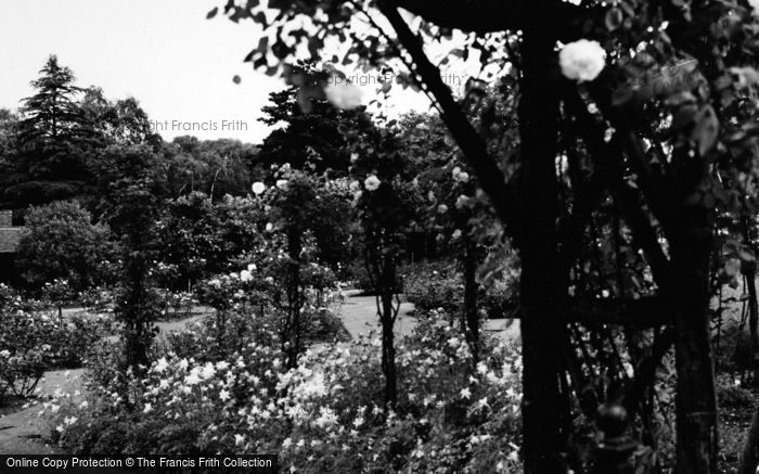 Photo of Addiscombe, The Gardens c.1965