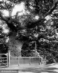 Crouch Oak 1904, Addlestone