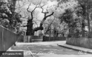 Crouch Oak Lane c.1955, Addlestone
