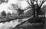 Previous photo