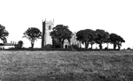 Previous photo