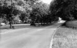 Previous photo
