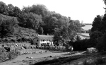 Previous photo