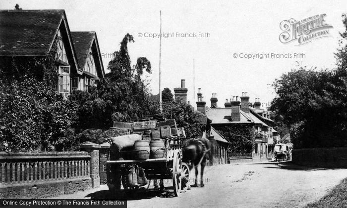 Photo of Albury, A Horsedrawn Wagon In The Village 1902