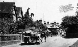 A Horsedrawn Wagon In The Village 1902, Albury