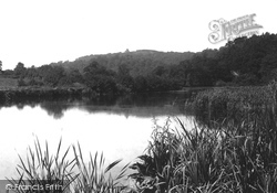 Albury Mill Ponds 1902, Albury
