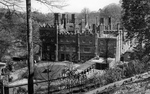 Previous photo