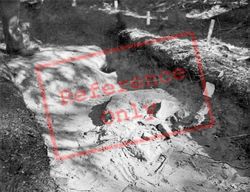 Park, Jubilee Ride Mound Excavations 1959, Albury