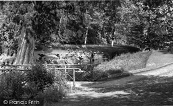 Park, The Bridge c.1960, Albury